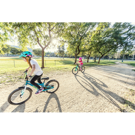 Rower GT Stomper 24" Ace Chartreuse/Navy-Cyan