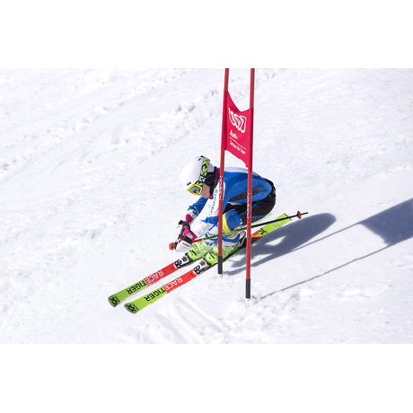 Narty Völkl Racetiger GSL + wiązania Marker Race Junior 8 2019/2020