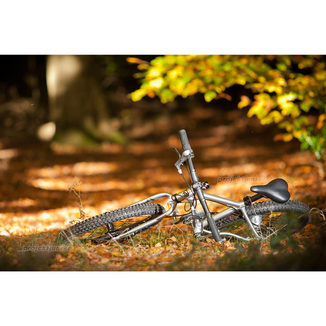 Rower Early Rider Belter 20 Trail