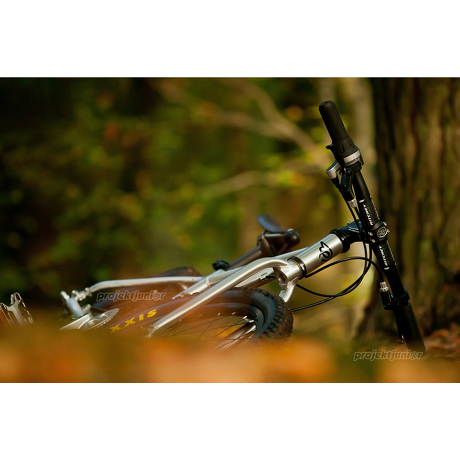 Rower Early Rider Belter 20 Trail