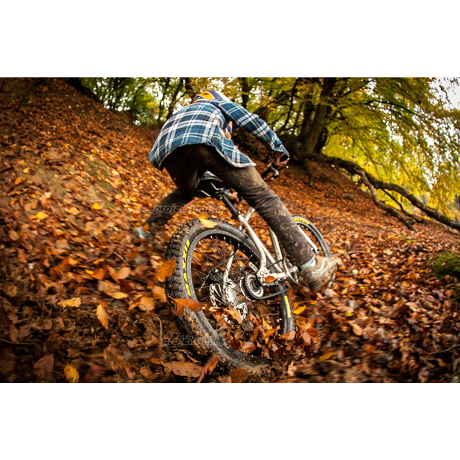 Rower Early Rider Belter 20 Trail