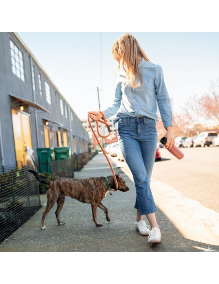 Butelka izolowana Camelback Beck Vacuum Insulated 600ml Black