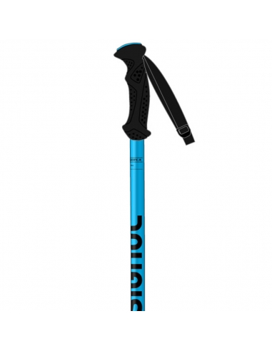 Kije narciarskie Rossignol TELESCOPIC JR Blue