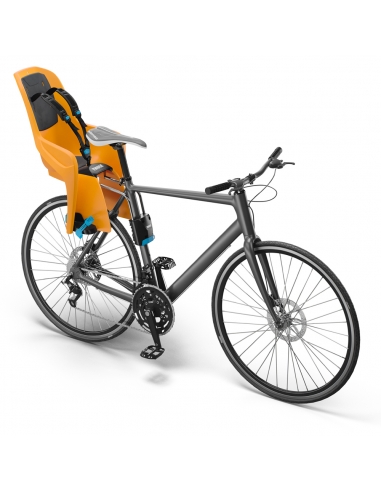 Fotelik rowerowy Thule RideAlong Lite Zinnia
