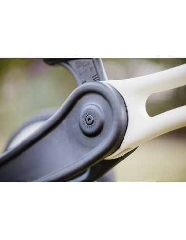 Rowerek biegowy Wishbone Bike Recycled 3w1 Raw