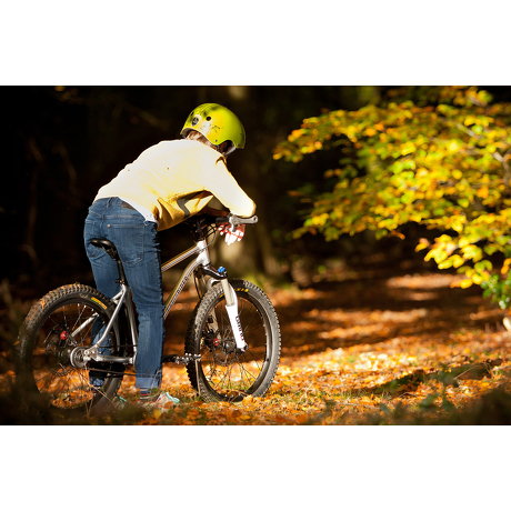 Rower Early Rider Belter 20 Trail 3S