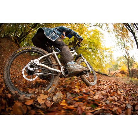 Rower Early Rider Belter 20 Trail 3S