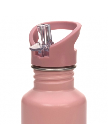 Butelka Lassig 500ml Adventure Rose