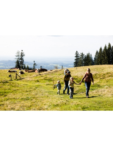 Nosidełko turystyczne dla dzieci Deuter Kid Comfort Active Midnight