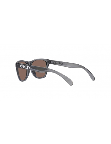 Okulary przeciwsłoneczne dla dzieci Oakley Frogskins XXS Polished Grey Smoke/Prizm Sapphire