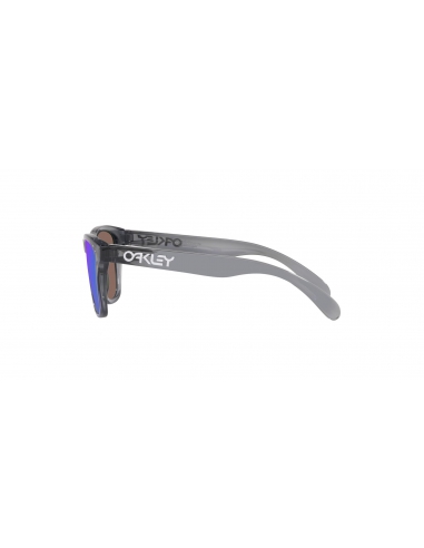 Okulary przeciwsłoneczne dla dzieci Oakley Frogskins XXS Polished Grey Smoke/Prizm Sapphire
