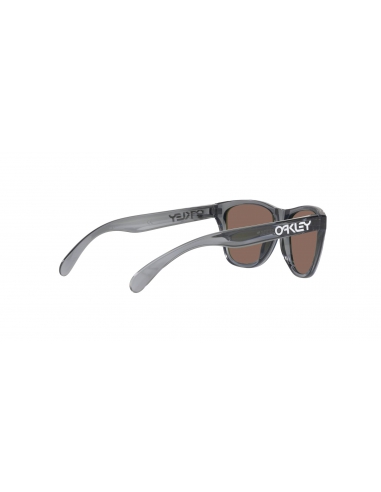 Okulary przeciwsłoneczne dla dzieci Oakley Frogskins XXS Polished Grey Smoke/Prizm Sapphire