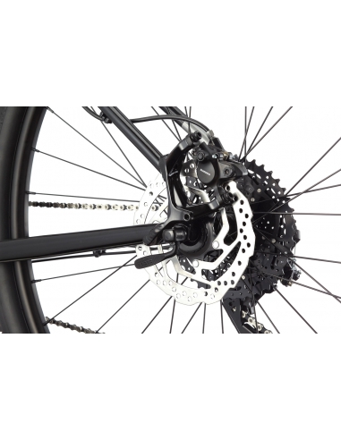 Rower górski Cannondale TRAIL 5 M (29") Graphite