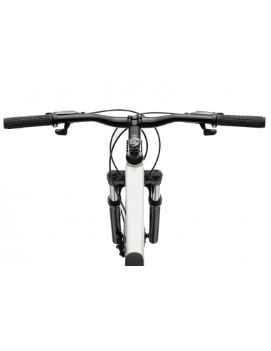 Górski rower młodzieżowy Cannondale TRAIL Women's 7 29" M Iridescent