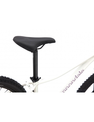 Górski rower młodzieżowy Cannondale TRAIL Women's 7 29" M Iridescent