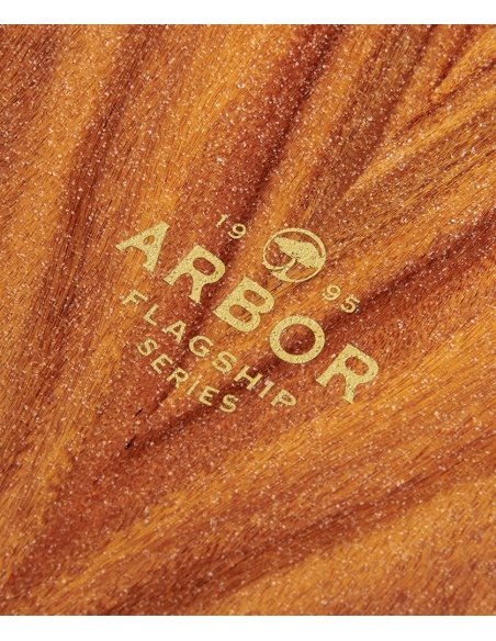 Longboard Arbor Axis 40 Flagship