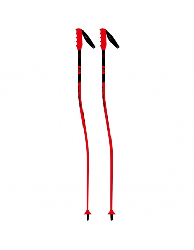 Kije narciarskie Rossignol HERO GS-SG JR
