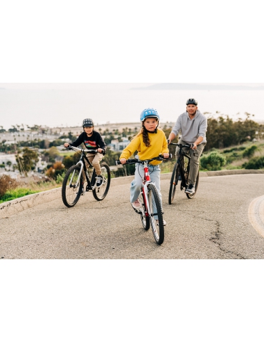 Rower dziecięcy Woom 6 Red (26") Anniversary...