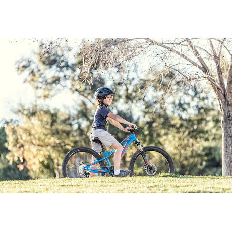 Rower GT Stomper 24" Ace Chartreuse/Navy-Cyan