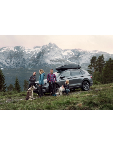 Box dachowy Thule Force XT