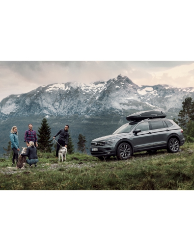 Box dachowy Thule Force XT