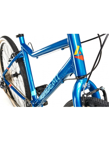 Rower dziecięcy Academy Grade 5 (24") Blue