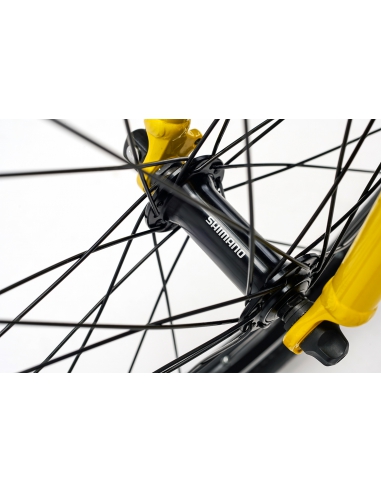 Rower dziecięcy Academy Grade 4 Belt (20")...