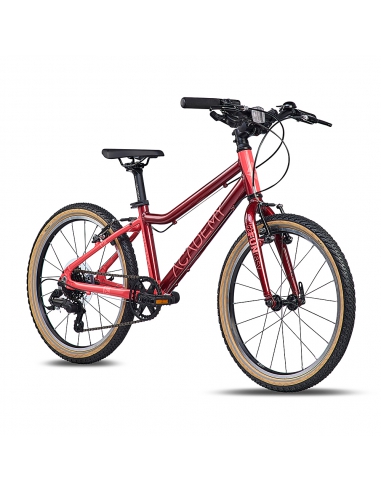 Rower dziecięcy Academy Grade 4 (20") FUNtasy...