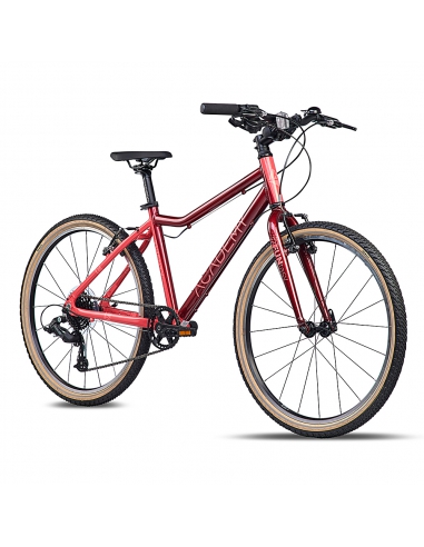 Rower dziecięcy Academy Grade 5 (24") FUNtasy...