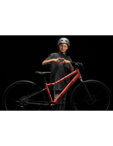 Naklejki na ramę roweru woom