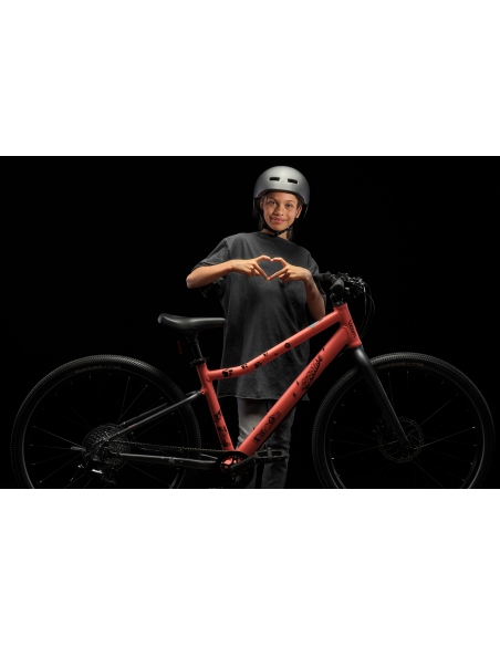 Naklejki na ramę roweru woom