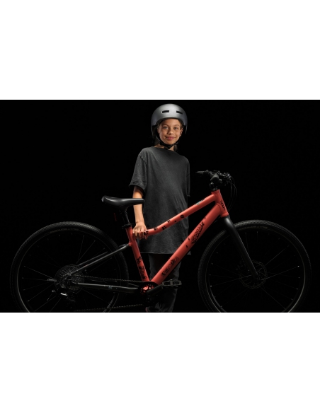 Naklejki na ramę roweru woom