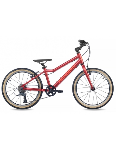 Rower dziecięcy Academy Grade 4 (20") Red