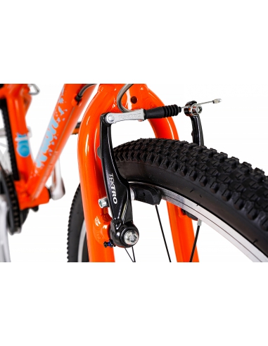 Rower dziecięcy Squish 24" Orange/Blue