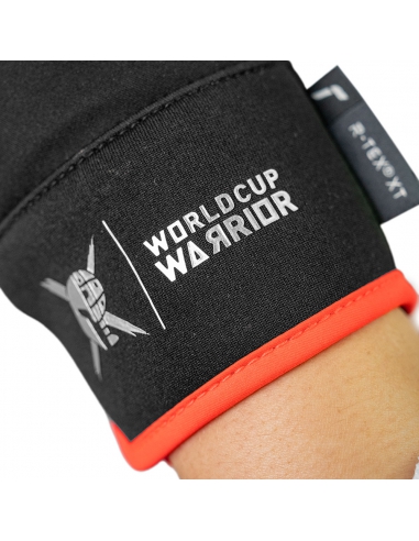 Rękawice narciarskie Reusch WorldCup Warrior Prime R-TEX® XT Junior (pięciopalczaste) Black/Silver/Fluo Red