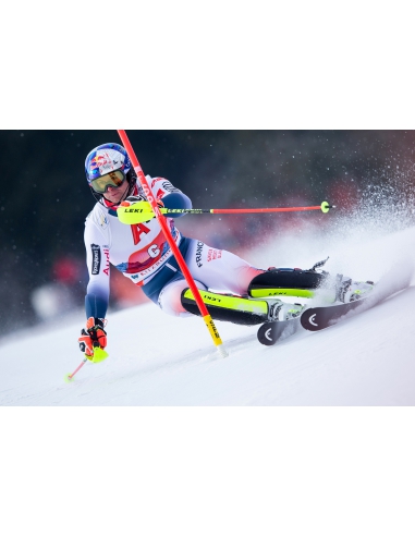 Ochraniacze-gardy na kije narciarskie Leki Gate Guard Closed WorldCup Neon Yellow