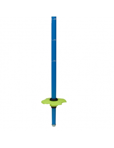Kije narciarskie Rossignol (regulowane 70-105 cm) Telescopic Junior Blue/Yellow