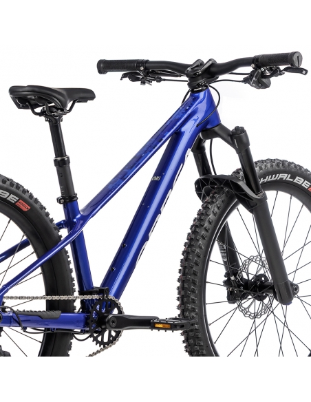 Rower dziecięcy ORBEA Kimu 24" H10 TR (amortyzowany widelec) Cobalt Blue - Lilac