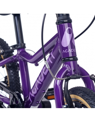 Rower dziecięcy Academy Grade 2 (14") Purple