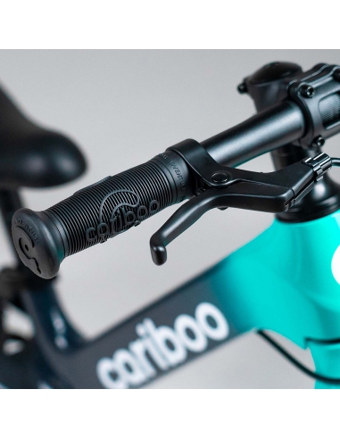 Rowerek biegowy CARIBOO Magnesium MAX Mint/Black (hamulec, pompowane koła)