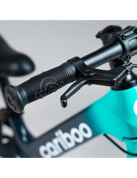 Rowerek biegowy CARIBOO Magnesium MAX Mint/Black (hamulec, pompowane koła)