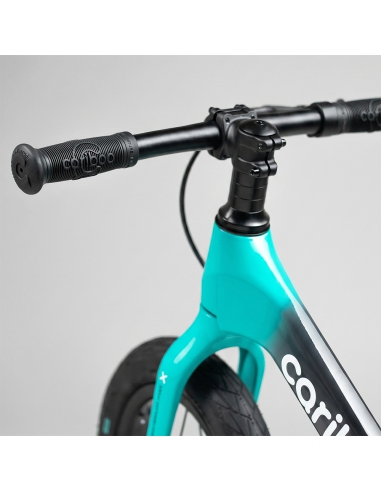 Rowerek biegowy CARIBOO Magnesium MAX Mint/Black (hamulec, pompowane koła)