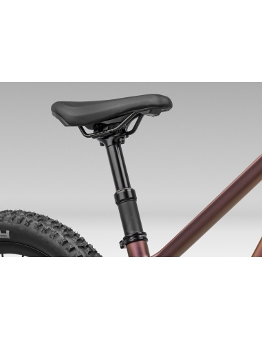 Rower dziecięcy ORBEA Kimu 24" H10 TR...