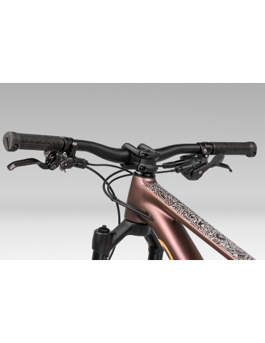 Rower dziecięcy ORBEA Kimu 24" H10 TR...