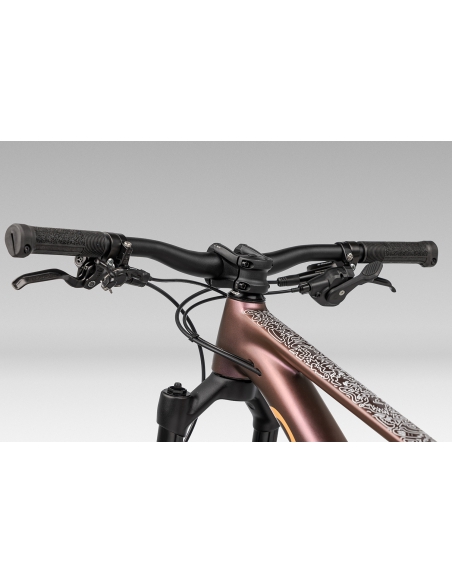 Rower dziecięcy ORBEA Kimu 24" H10 TR (amortyzowany widelec, dropper) Metallic Sunset - Orange Cloud