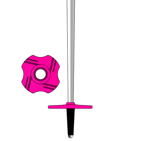 Kije narciarskie Rossignol TEMPTATION JR